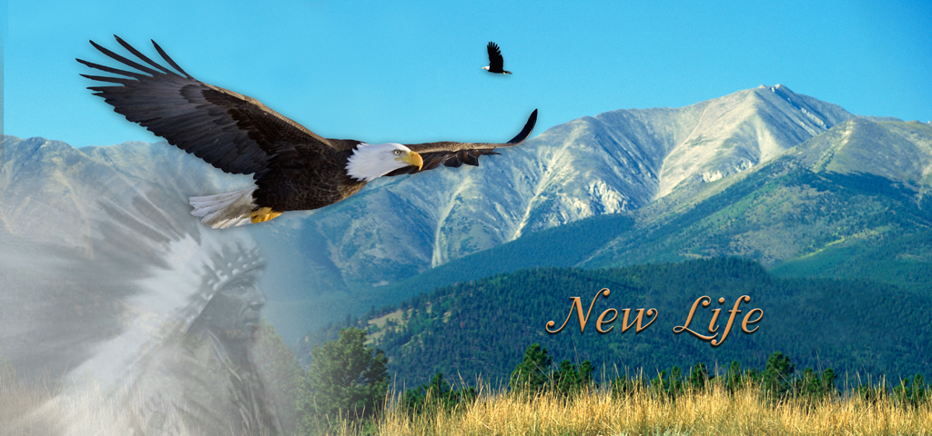 Soaring Eagle (New Life) PROOF